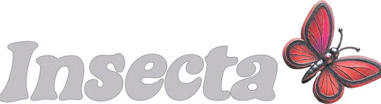 Insecta